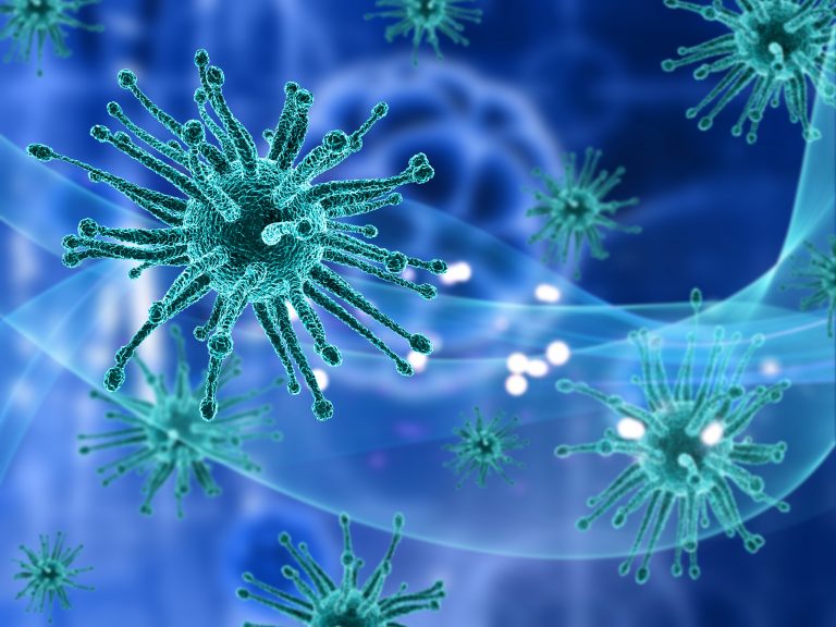 Scientists home in on potential treatments for deadly Nipah virus